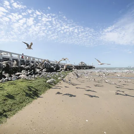 Centrally Located Scarphout 3g By Interhome