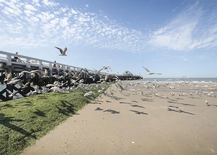 Centrally Located Scarphout 3g By Interhome